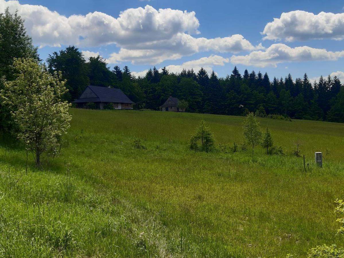 Ferienwohnung Kuznia Nowica Uscie Gorlickie Exterior foto
